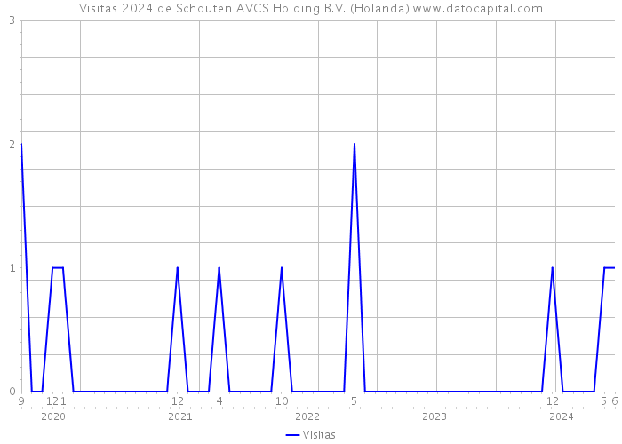 Visitas 2024 de Schouten AVCS Holding B.V. (Holanda) 