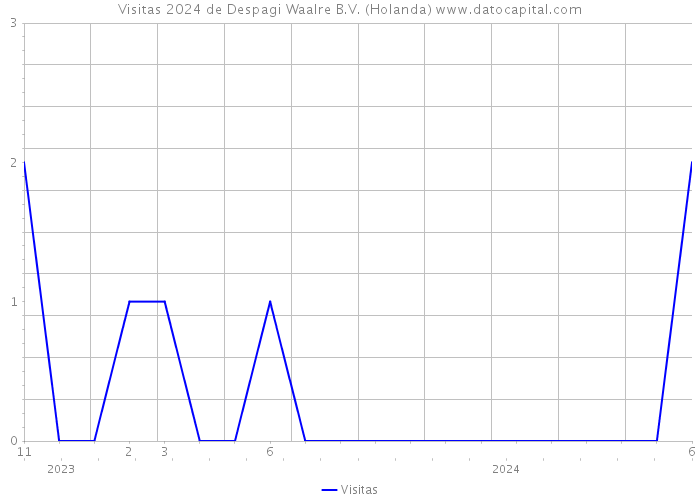 Visitas 2024 de Despagi Waalre B.V. (Holanda) 