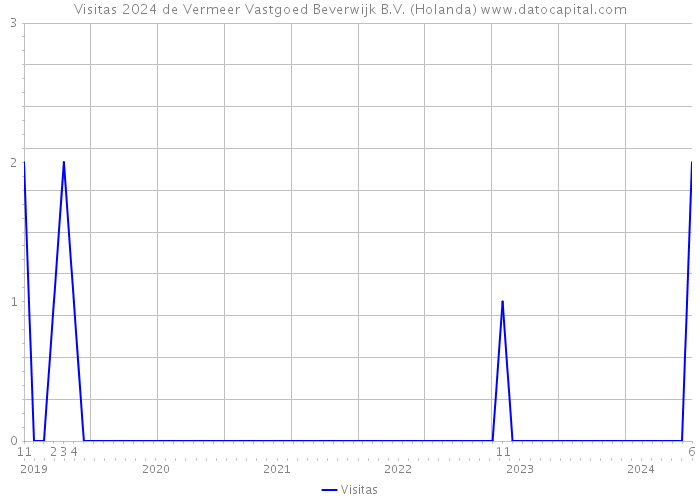 Visitas 2024 de Vermeer Vastgoed Beverwijk B.V. (Holanda) 