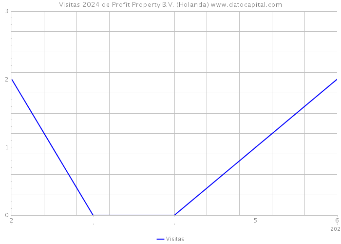 Visitas 2024 de Profit Property B.V. (Holanda) 