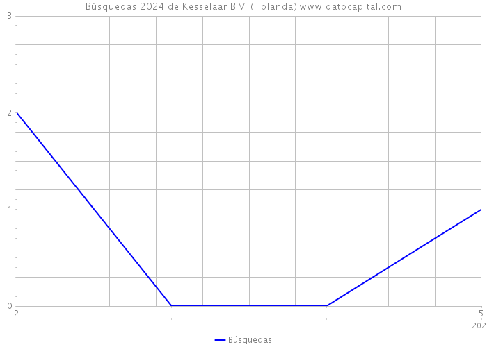 Búsquedas 2024 de Kesselaar B.V. (Holanda) 