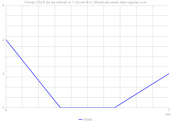 Visitas 2024 de Apotheek in 't Groen B.V. (Holanda) 