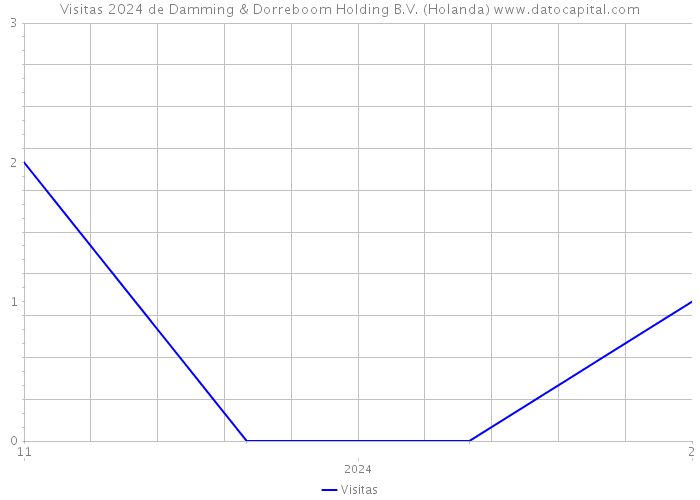 Visitas 2024 de Damming & Dorreboom Holding B.V. (Holanda) 