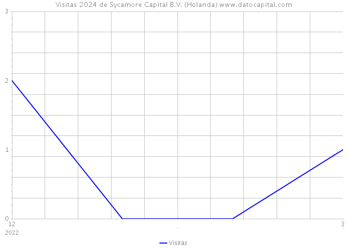 Visitas 2024 de Sycamore Capital B.V. (Holanda) 