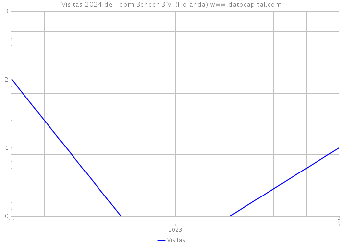 Visitas 2024 de Toom Beheer B.V. (Holanda) 