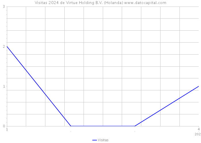 Visitas 2024 de Virtue Holding B.V. (Holanda) 