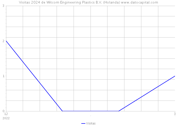 Visitas 2024 de Witcom Engineering Plastics B.V. (Holanda) 