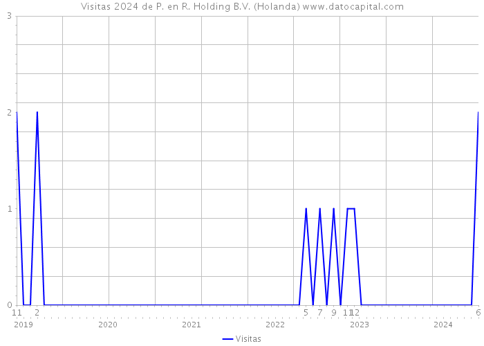 Visitas 2024 de P. en R. Holding B.V. (Holanda) 