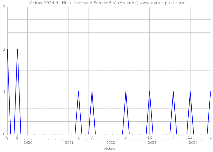 Visitas 2024 de Nico Koetsveld Beheer B.V. (Holanda) 