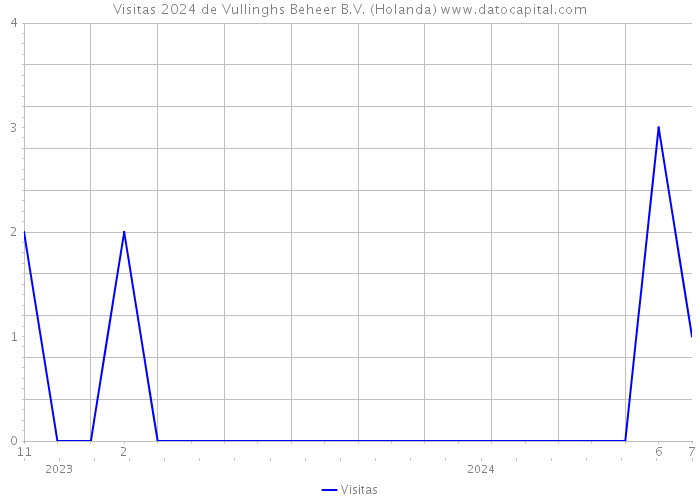 Visitas 2024 de Vullinghs Beheer B.V. (Holanda) 