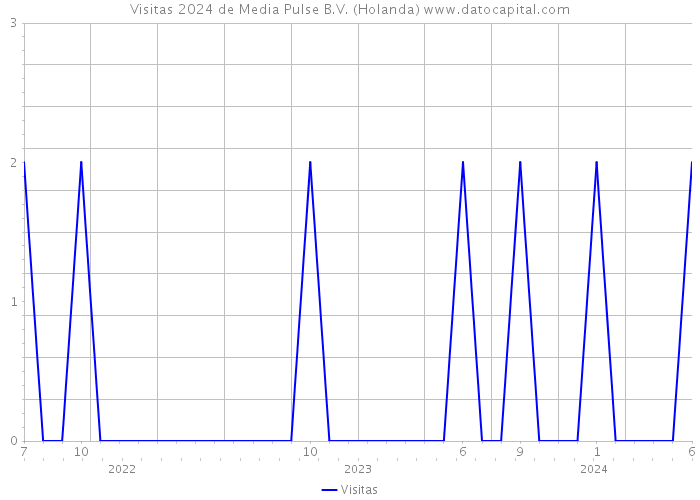 Visitas 2024 de Media Pulse B.V. (Holanda) 