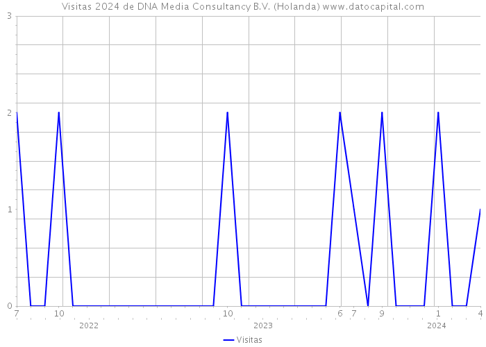 Visitas 2024 de DNA Media Consultancy B.V. (Holanda) 
