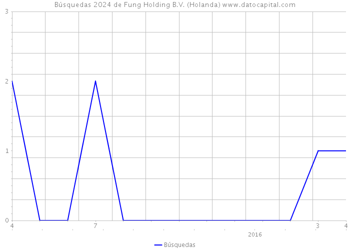 Búsquedas 2024 de Fung Holding B.V. (Holanda) 