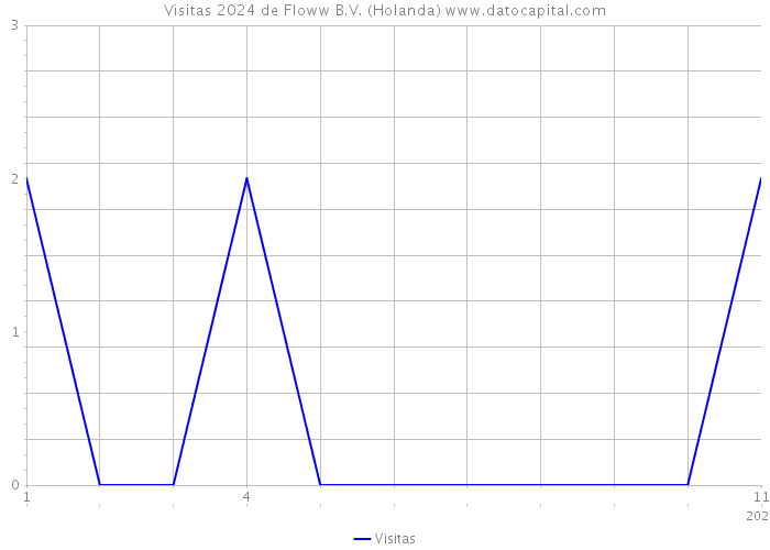 Visitas 2024 de Floww B.V. (Holanda) 