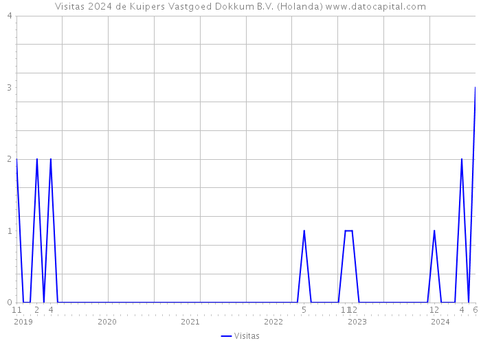 Visitas 2024 de Kuipers Vastgoed Dokkum B.V. (Holanda) 