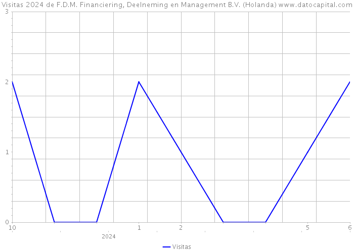 Visitas 2024 de F.D.M. Financiering, Deelneming en Management B.V. (Holanda) 