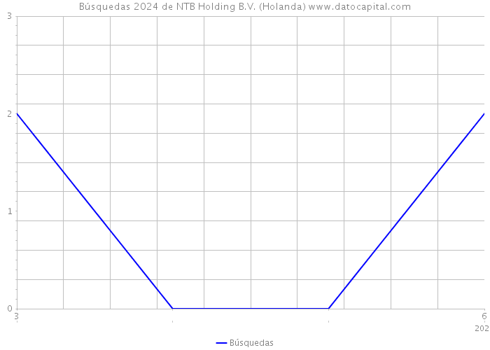 Búsquedas 2024 de NTB Holding B.V. (Holanda) 