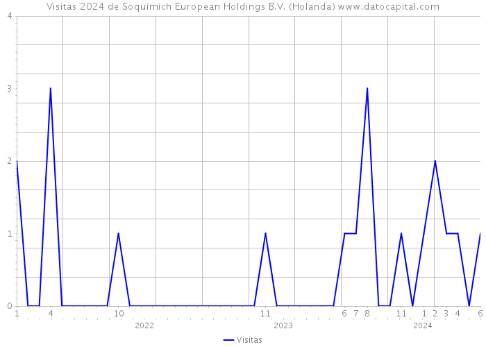 Visitas 2024 de Soquimich European Holdings B.V. (Holanda) 