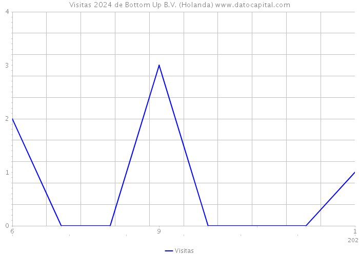 Visitas 2024 de Bottom Up B.V. (Holanda) 