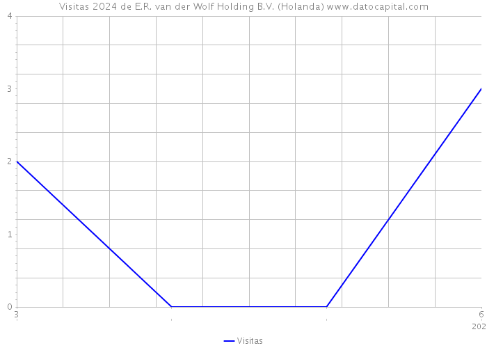 Visitas 2024 de E.R. van der Wolf Holding B.V. (Holanda) 