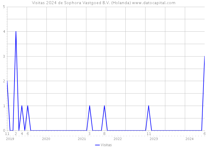 Visitas 2024 de Sophora Vastgoed B.V. (Holanda) 