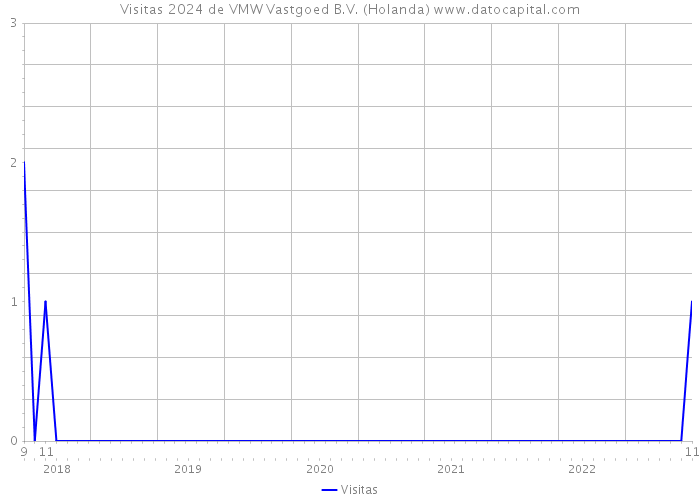 Visitas 2024 de VMW Vastgoed B.V. (Holanda) 