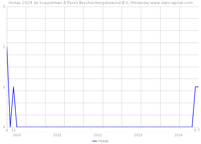 Visitas 2024 de Koppelman & Perez Beschermingsbewind B.V. (Holanda) 