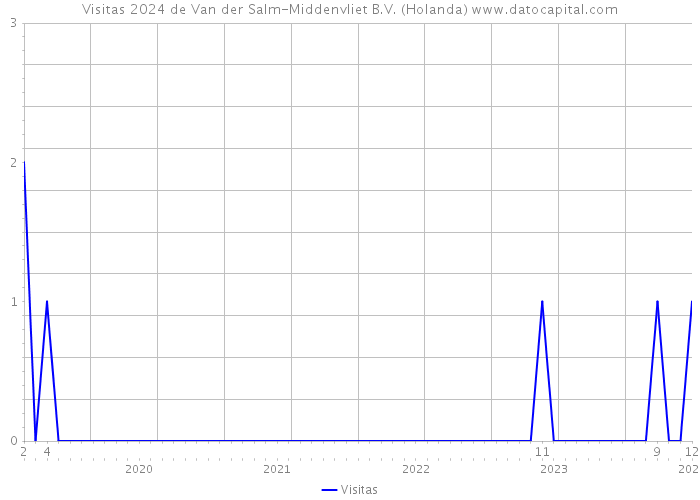 Visitas 2024 de Van der Salm-Middenvliet B.V. (Holanda) 
