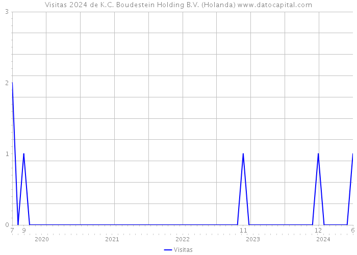 Visitas 2024 de K.C. Boudestein Holding B.V. (Holanda) 