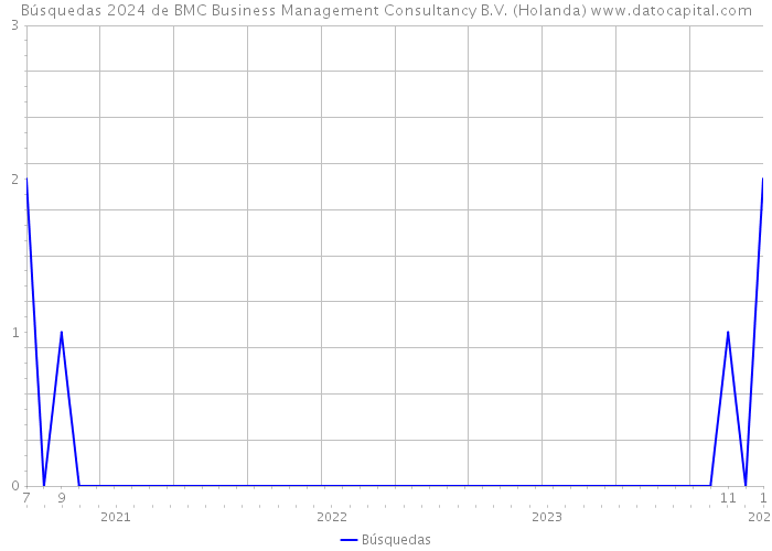 Búsquedas 2024 de BMC Business Management Consultancy B.V. (Holanda) 