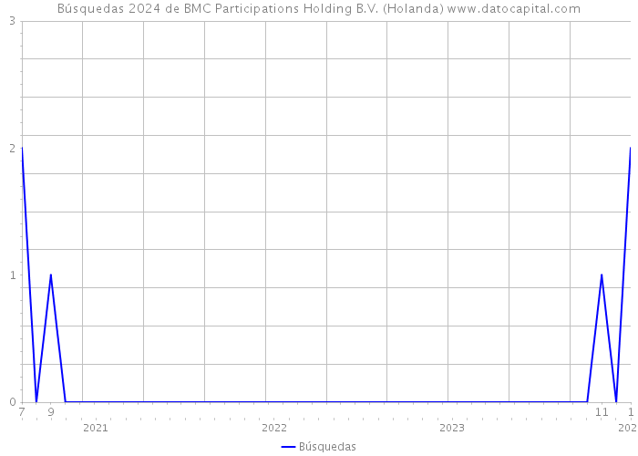 Búsquedas 2024 de BMC Participations Holding B.V. (Holanda) 
