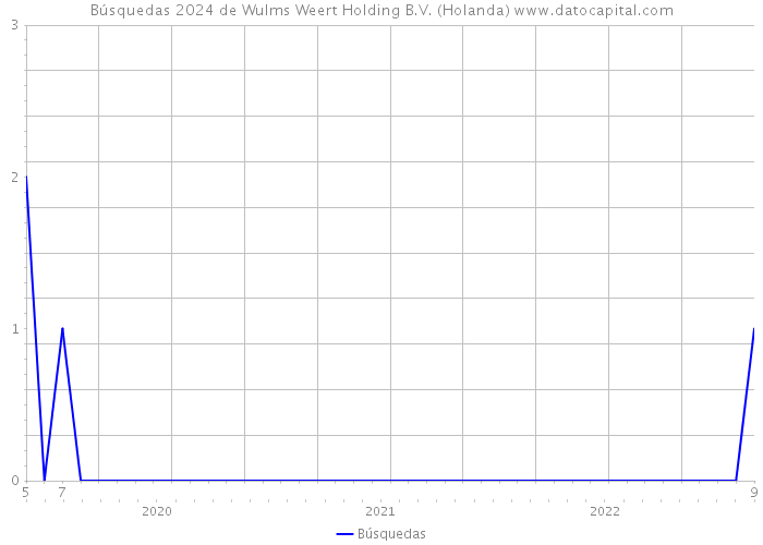Búsquedas 2024 de Wulms Weert Holding B.V. (Holanda) 