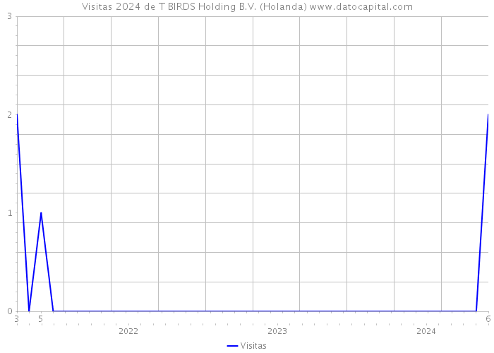 Visitas 2024 de T BIRDS Holding B.V. (Holanda) 