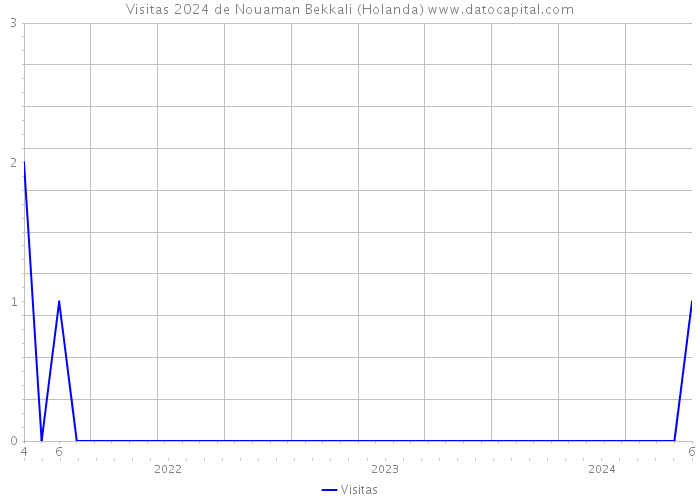 Visitas 2024 de Nouaman Bekkali (Holanda) 