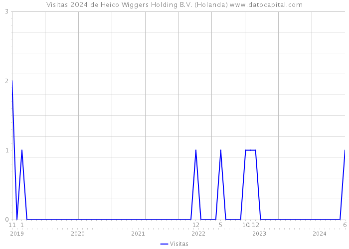 Visitas 2024 de Heico Wiggers Holding B.V. (Holanda) 