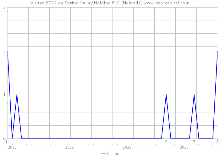 Visitas 2024 de Spring Valley Holding B.V. (Holanda) 