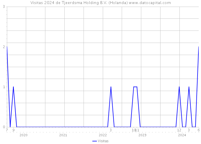 Visitas 2024 de Tjeerdsma Holding B.V. (Holanda) 