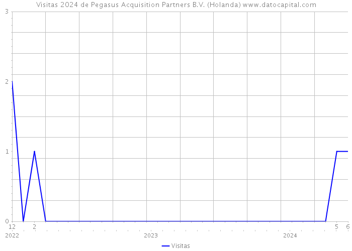 Visitas 2024 de Pegasus Acquisition Partners B.V. (Holanda) 