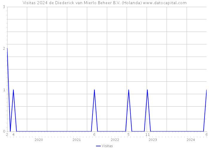 Visitas 2024 de Diederick van Mierlo Beheer B.V. (Holanda) 