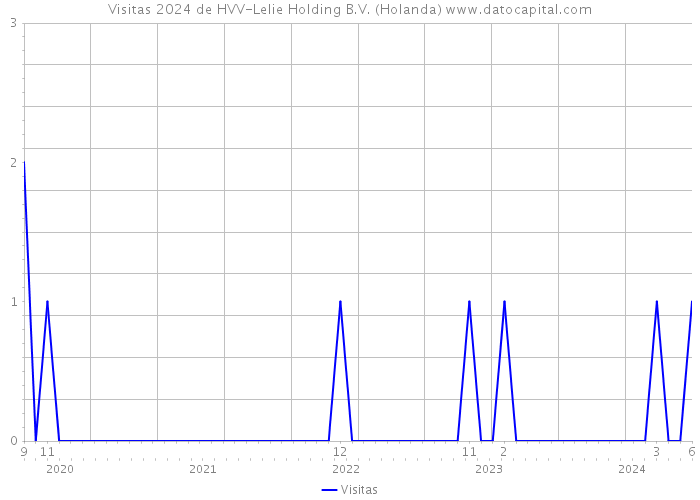 Visitas 2024 de HVV-Lelie Holding B.V. (Holanda) 