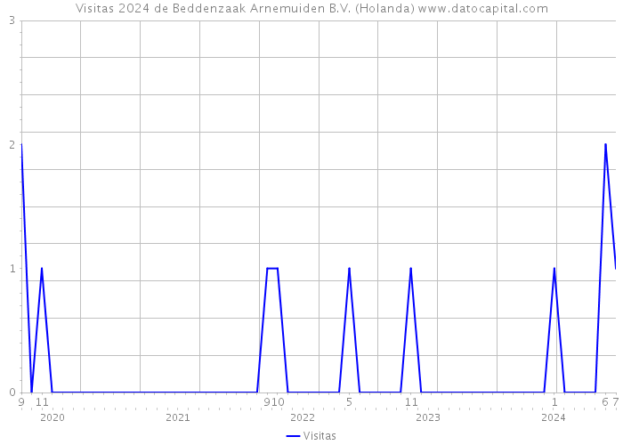 Visitas 2024 de Beddenzaak Arnemuiden B.V. (Holanda) 
