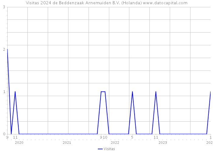 Visitas 2024 de Beddenzaak Arnemuiden B.V. (Holanda) 