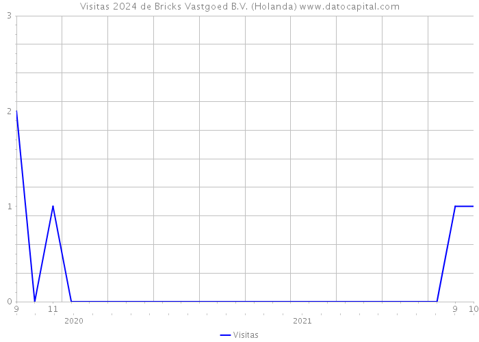 Visitas 2024 de Bricks Vastgoed B.V. (Holanda) 