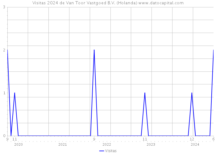 Visitas 2024 de Van Toor Vastgoed B.V. (Holanda) 