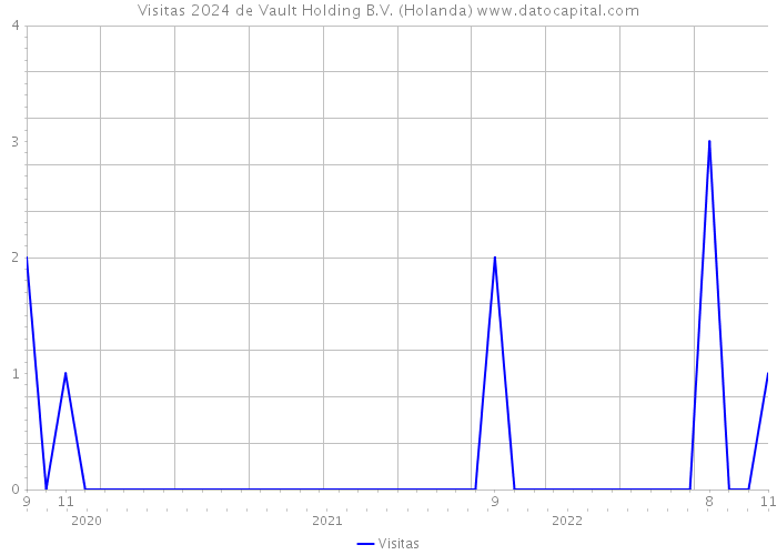 Visitas 2024 de Vault Holding B.V. (Holanda) 