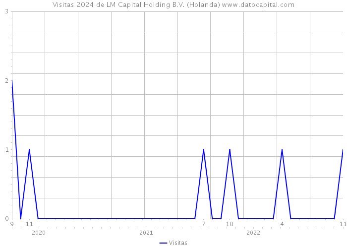 Visitas 2024 de LM Capital Holding B.V. (Holanda) 
