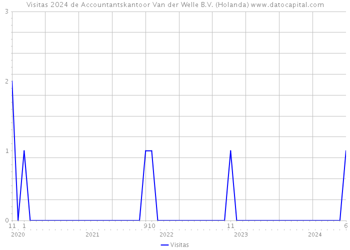 Visitas 2024 de Accountantskantoor Van der Welle B.V. (Holanda) 