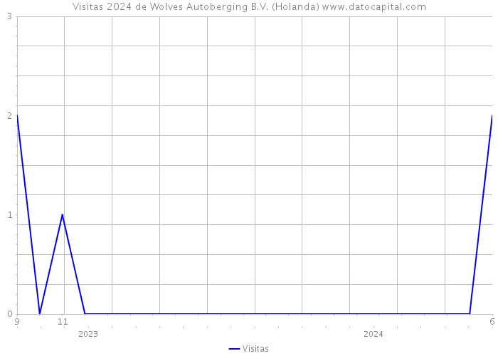 Visitas 2024 de Wolves Autoberging B.V. (Holanda) 
