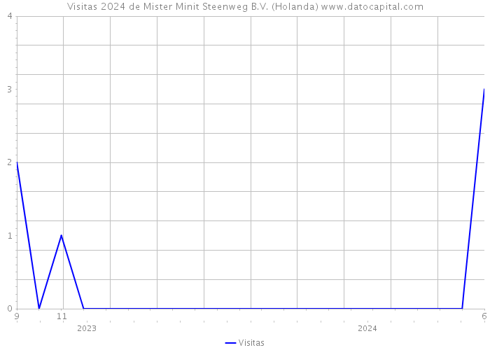 Visitas 2024 de Mister Minit Steenweg B.V. (Holanda) 