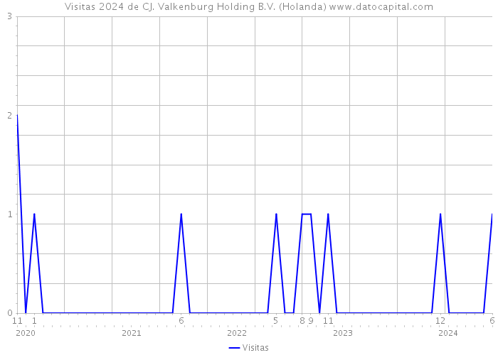 Visitas 2024 de CJ. Valkenburg Holding B.V. (Holanda) 